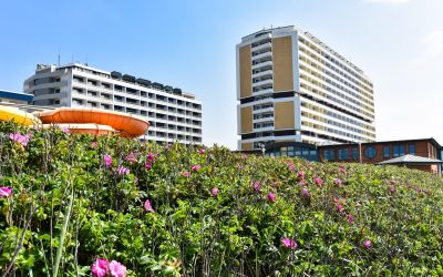 Auf Sylt werden zukünftig nur noch selten neue Hotels entstehen. (Foto: AdobeStock - David 319044846)