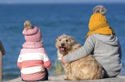 Tierliebe Ferien: Entdecken Sie haustierfreundliche Reiseziele für (Foto: AdobeStock - Jenny Sturm 469665129)